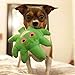 Dooby's Dog Toys Weed Leaf Emoji Hemp Funny Dog Toy
