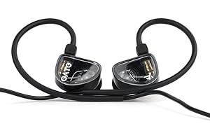 Fanmusic TRUTHEAR GATE Cost-Effective Dynamic Driver in-Ear Headphone with 0.78 2Pin Cable (Black, no mic)