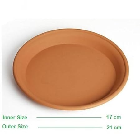 10 Inch Bottom Tray Terracotta Color (Set of 5) - SriSai Naturals