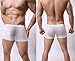 YuKaiChen Mens Silk Underwear Seamless Boxer Briefs Short Leg 6-Pack L/US S
