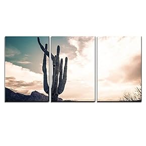 wall26 - 3 Piece Canvas Wall Art -...