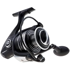 Penn Pursuit Ii Spinning Reel Maître