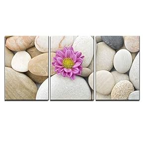 3 Piece Canvas Wall Art - Closeup of Pebbles Background with a Pink Daisy - Modern Home Art Stretched and Framed Ready to Hang - 16"x24"x3 Panels