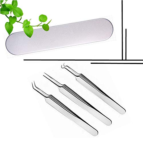 Top 5 best rapid vitality blackhead tweezers for 2019