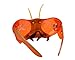 Insect Lore The World of Eric Carle Bug Goggles