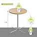 Glass Baby Bottle, 8 Ounce with Sippy Straw, Bottle Handle, Anti-Colic Nipple, Natural Feeding for 6 Months Plus
