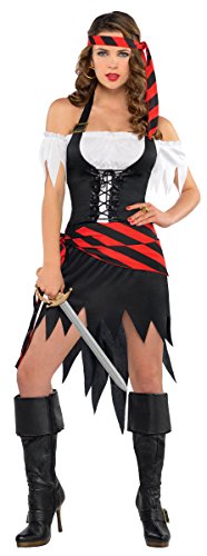 Womens Rogue Maiden Costume