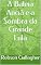 Livro A Baleia Anciã e a Sombra da Grande Lula
