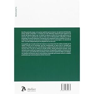DERECHO DE INTERNET