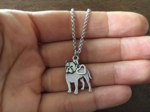 Pitbull Charm Necklace, PittyPet Lover Gift, Stainless Steel Silver with Heart Charm on a Chain, Ladies I Love Pit Bull Short Hair