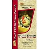 raising chicks laying feeds kent feed