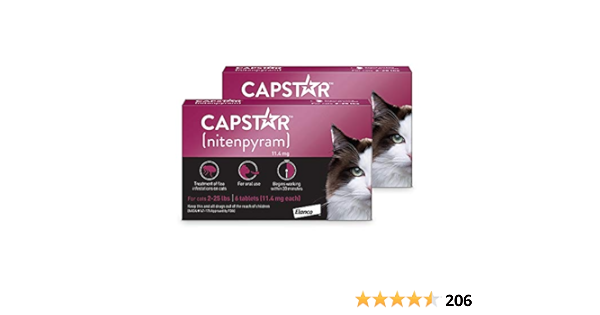 capstar for cats amazon