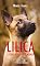 Livro Lilica: a cadela de outro mundo
