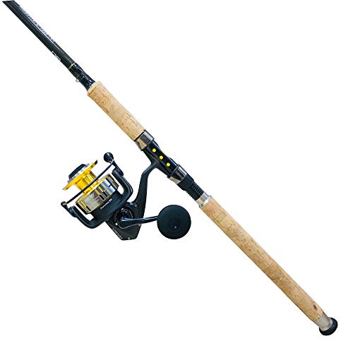 snapper rod and reel combo