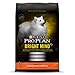Purina Pro Plan Senior Dog Food With Probiotics for Dogs, Bright Mind 7+ Chicken & Rice Formula - 30 lb. Bag