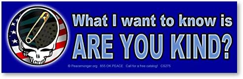ARE YOU KIND Safety Pin Steal Your Face Color Sticker