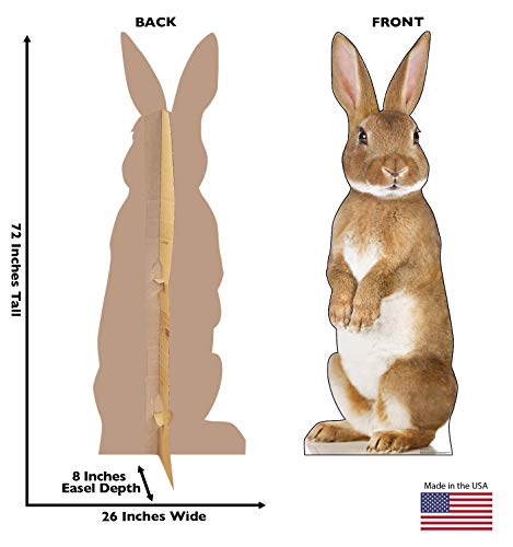 Advanced Graphics Bunny Rabbit Life Size Cardboard Cutout Standup - Thumbnail 2