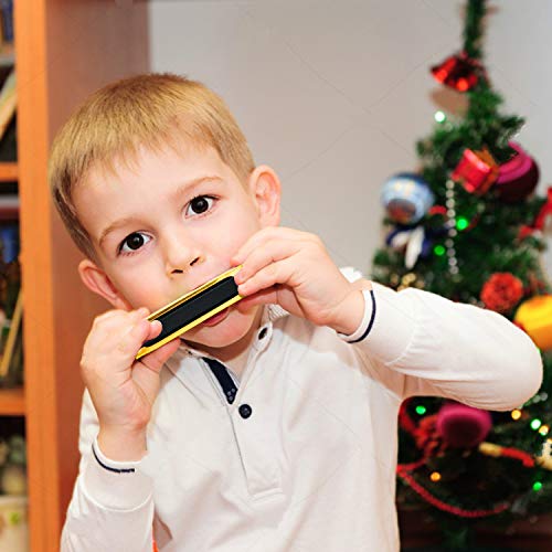 image for Upins 4pcs Key Of C 10 Hole Titanium Color Harmonica With Case For Beg