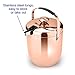 T-rainbow Insulated Double Walled Stainless Steel Ice Bucket for Parties, BBQ & Buffet with Tongs & Sealed Lid (3L) - Chiller Bin Basket for Wine and Beer, Firmly attached Handle, Strong Screw holder