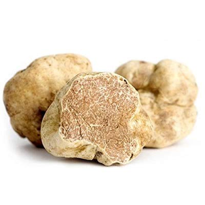 White Truffle Italian (Tuber magnatum, Trifola d'Alba Madonna) Italian White Truffle Mycelium Dried Seeds Spawn White Truffle Spores (0.5 oz / 14 g) by Don Porcini White Truffle Italian (Tuber magnatum, Trifola d'Alba Madonna) Italian White Truffle Mycelium Dried Seeds Spawn White Truffle Spores (0.5 oz / 14 g) by Don Porcini