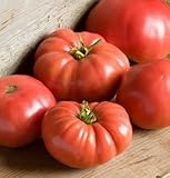 David's Garden Seeds Tomato Beefsteak German