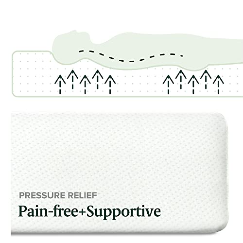 Zinus 12 Inch Green Tea Memory Foam Mattress / CertiPURUS Certified