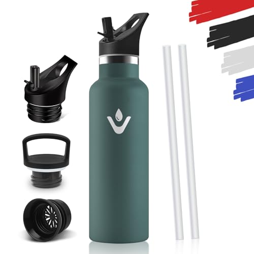 HoneyHolly Stainless Steel Water Bottle, 500 ml, BPA-Free, Childrens Water Bottle, Double-Walled Vacuum Insulated, Water Bottle with Straw, 18/8 Stainless Steel, Sports Bottle for School, Travel