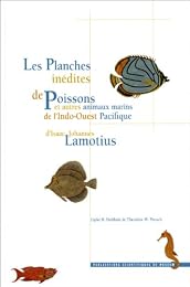 Les  planches inédites de poissons et autres animaux marins de l'Indo-Ouest Pacifique d'Isaac Johannes Lamotius