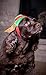 Clever Creations Puppy Dog Christmas Elf Hat Outfit, Festive Holiday Pet Costume, One Size Fits Most