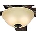 Hunter Fan Company, 51082, 42 inch Newsome Premier Bronze Low Profile Ceiling Fan with LED Lights and Pull Chain