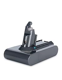 Biswaye 21 aspirador inalámbrico en versión portable para mascotas con batería de litio de 6 V, 2200 mAh, para Dyson DC62, DC58, DC59, DC61, 595, 650, 770, 880; Animal DC72, DC74, V6