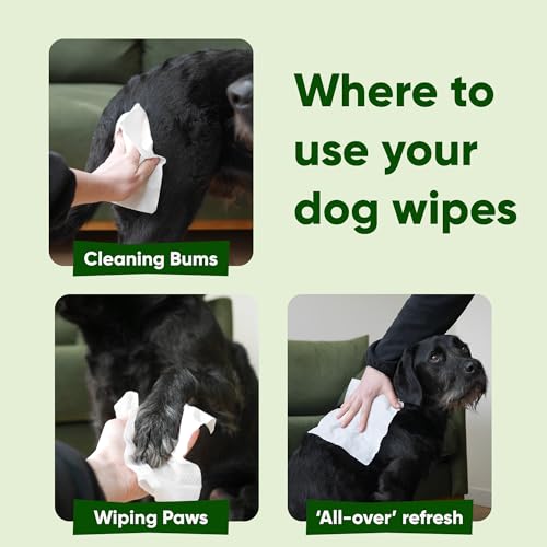 Beco Dog Wipes - 1 Pack of 80, Coconut Scented, For Paws, Body and Bum, Plant-Based Grooming Wipes