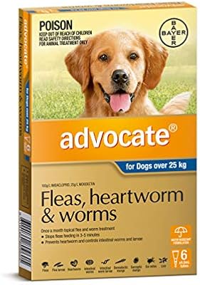 advocate medium dog 6 pack