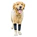 GNIKS Dog Front Leg Wrap Protects Brace Pets Joint Hock Paw Compression Wraps for Protects Wounds Brace Heals and Prevents Injuries and Sprains (L-XL)