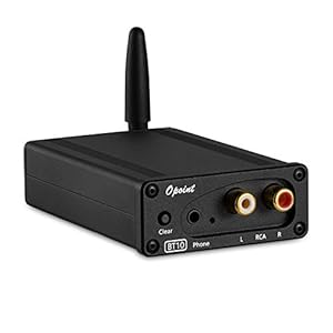 Mini Bluetooth 5.0 Stereo Ontvanger Audio Receiver USB DAC Headphone Amp APTX-HD (Black)