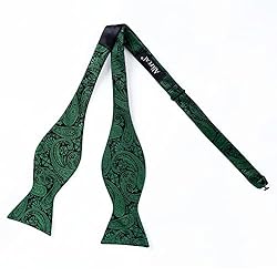Alizeal Men Self-tied Paisley Bow Tie and Pocket