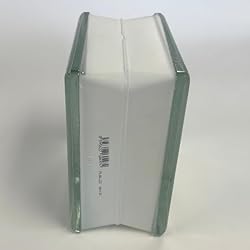 Seves Glass Block 6x6x3 Arctic Myminiglass Glass