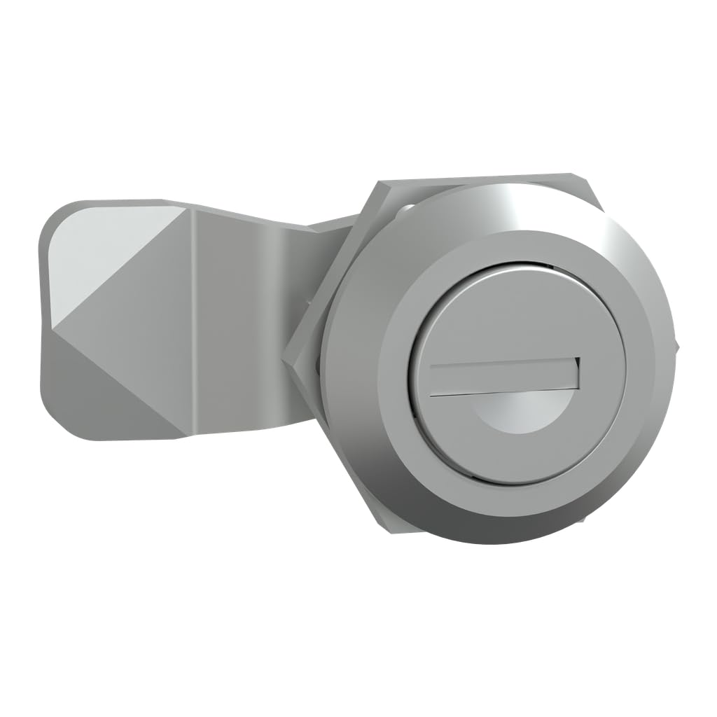 Schneider Electric nsycll405crn Full Metal Closure with Key 405 (2). For Cabinets Spacial CRN or s3hf