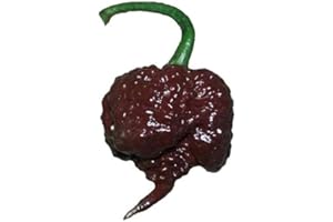 SHERWOODS SEEDS Chocolate Carolina Reaper HP22B Pepper Premium Seed Packet Record Hottest in The World + More