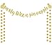 Gold Glitter Party Like A Pineapple Banner Bunting Garland for Luau Party Decorations Tropical Hawaiian Summer Themed Party Supplies