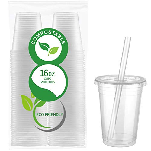 50 Count Eco Friendly Clear PLA Cups with Lids - Plasticless 16 Ounce Biodegradable Plastic Cups Made of Compostable Plant-Based PLA for to Go Cold Beverage