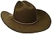 Stetson Powder River 4X Buffalo Felt Cowboy Hat