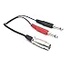 6.35mm to XLR Cable - Riipoo 20 cm 6.35mm Male to XLR Female Stereo Audio Microphone Adapter Cable, 2 Dual 1/4 TS 6.35mm Mono Male to XLR Female Splitter Cable