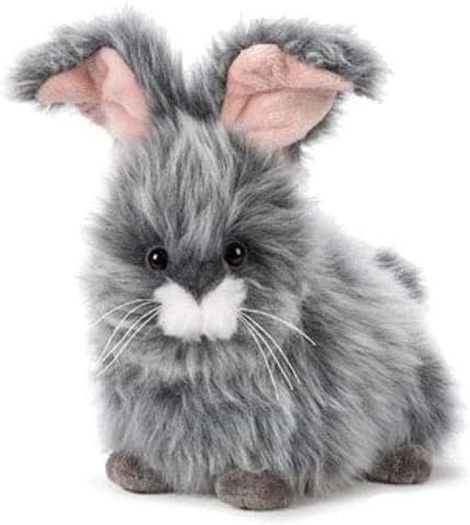 miniature poodles near me