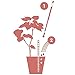 Sustee Aquameter (Pink, Medium) - Plant Moisture Meter – Soil Water Monitor, Sensor, Indicator, Probe – Best for Potted Plants