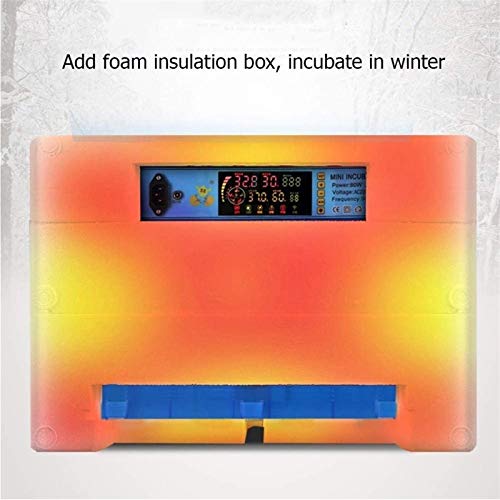 CHICTI Inkubator Digitales Brutmaschine Vollautomatisch 256 Eier Brutautomat Mit Temperaturregelung Für Die Aufzucht Von… – Bild 8