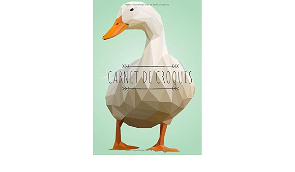 Carnet De Croquis Cahier Canard Oie Cahier De Dessin Grand Format Pour Dessin Peinture Aquarelle Creation 100 Pages A Remplir Cahier De Croquis Crayon De Couleur Feutres French Edition Edition Mes