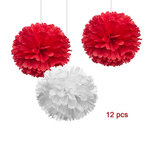 12" Red and White Tissue Pom Poms Kit DIY Paper Flower for (12 Pcs Red