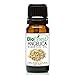 BioFinest Angelica Oil - 100% Pure Angelica Essential Oil - Boost Immune System and Strength - Premium Quality - Therapeutic Grade - Best For Aromatherapy - FREE E-Book (10ml)