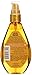 Garnier Hair Care Whole Blends Moroccan Argan and Camellia Extract Illumina